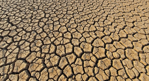 Arid Earth: A close-up perspective reveals the cracked earth, an eloquent depiction of drought and environmental degradation in a desolate landscape.