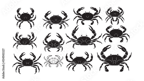 Crab Silhouette Collection Vector Illustration

Crab Silhouette Collection Vector Illustration