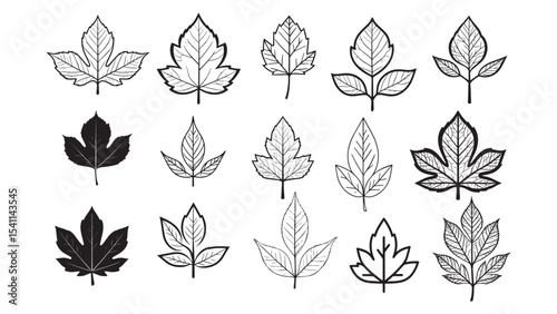 Leaf Silhouette Collection Vector Illustration for Nature Botanical Autumn and Eco Design Concepts

Leaf Silhouette Collection Vector Illustration for Nature Botanical Autumn and Eco Design Concepts