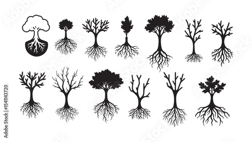 Root Silhouette Collection Vector Illustration