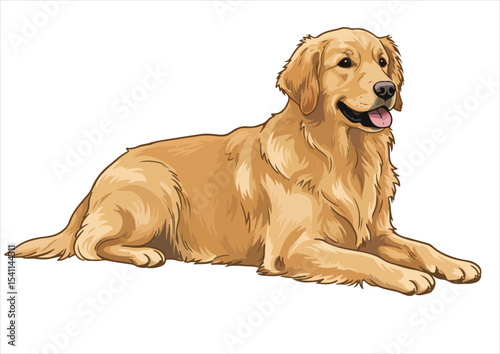 lie down animal, vector, cute, illustration, dog, isolated, design, pet, cartoon, art, golden retriever, breed, retriever, icon, drawing, funny, graphic, canine, puppy, black, doggy, labrador, head