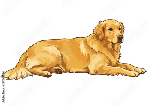 lie down animal, vector, cute, illustration, dog, isolated, design, pet, cartoon, art, golden retriever, breed, retriever, icon, drawing, funny, graphic, canine, puppy, black, doggy, labrador, head