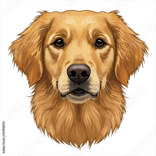 animal, vector, cute, illustration, dog, isolated, design, pet, cartoon, art, golden retriever, breed, retriever, icon, drawing, funny, graphic, canine, puppy, black, doggy, labrador, head, golden, 