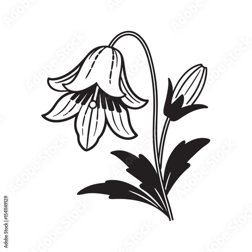 line art of single bellflower flower