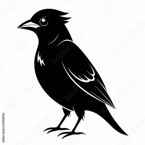 Cedar Waxwing vector black silhouette on white background