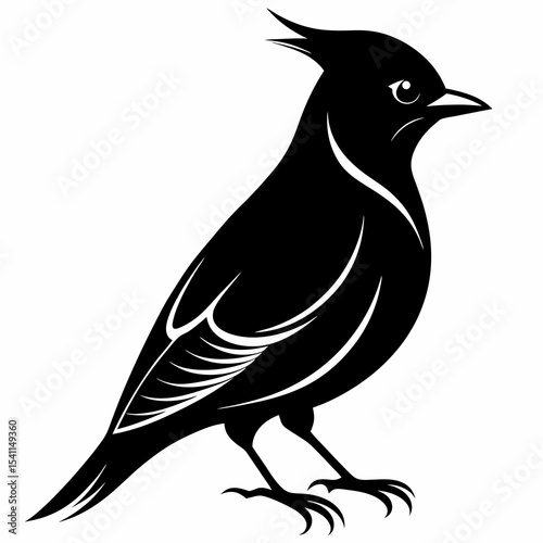 Cedar Waxwing vector black silhouette on white background