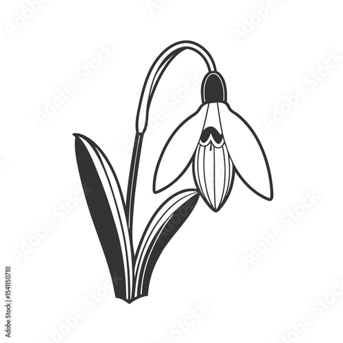 line art of single snowdrop flower