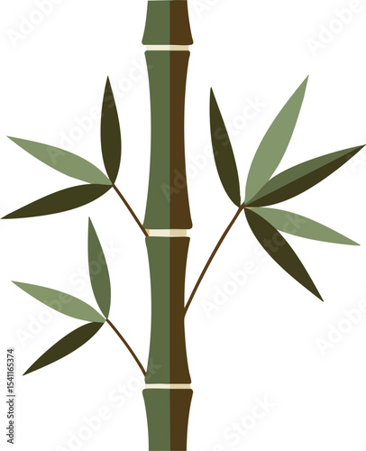 Bamboo stalk with green leaves natural plant vector illustration for design and decoration purposes 