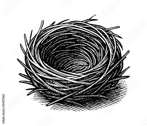 Detailed black and white engraving style illustration of a bird nest isolated