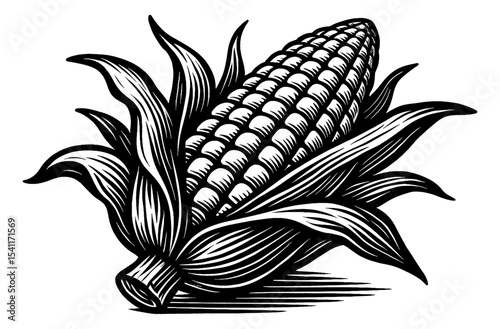Black and White Corncob Engraving Style Illustration with Husk Leaves,Detailed, Plant