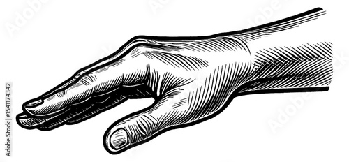 Engraved Hand Illustration in Black and White with Detailed Lines and Shading