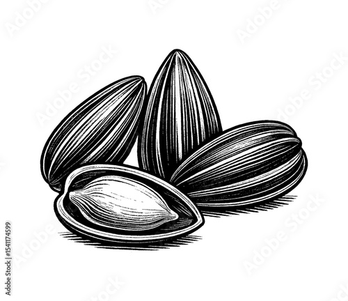 Illustration of Sunflower Seeds with Detailed Black and White Stripes Pattern
