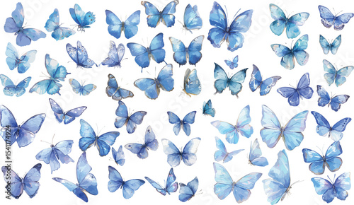 blue butterfly watercolor clipart | blue butterfly clipart for graphic resources