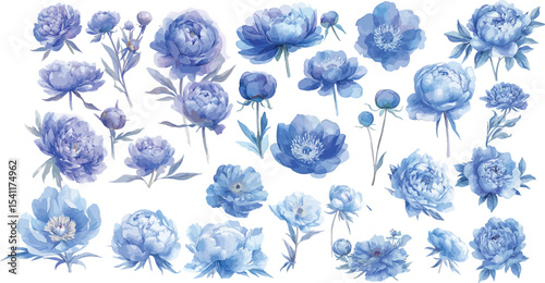blue peony watercolor clipart | blue peony clipart for graphic resources