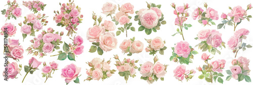 pink roses watercolor clipart | pink roses clipart for graphic resources