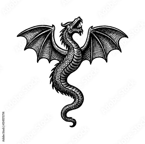 Detailed Engraving of a Dragon with Wings Spread Outward and Mouth Open in Black and White