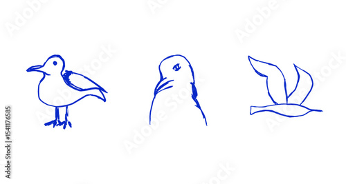 Seagull Line Art Set. Nautical Sketch Illustration. Blue line art birds vector illustration for marine themed designs, cards, and banners.