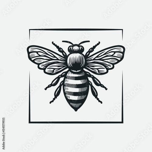 Creative vintage style Honey bee editable vector logo. Hand drawn engraving style bee illustrations.