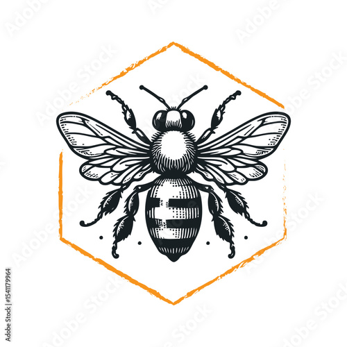 Creative vintage style Honey bee editable vector logo. Hand drawn engraving style bee illustrations.