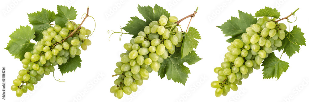 Obraz premium Three bunches of green grapes isolated on transparent background