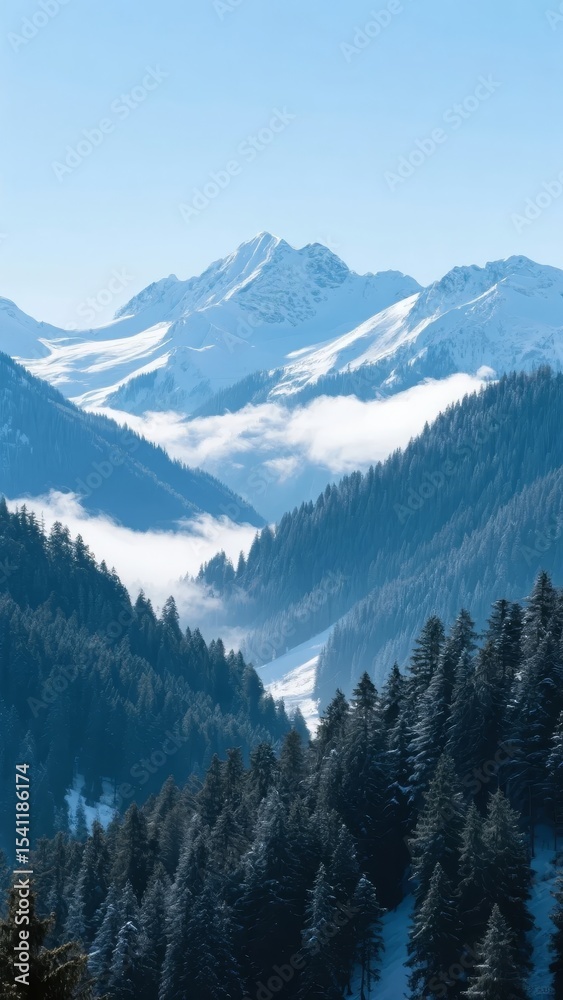 Obraz premium Snow-Capped Mountains and Forested Valleys with Low Clouds