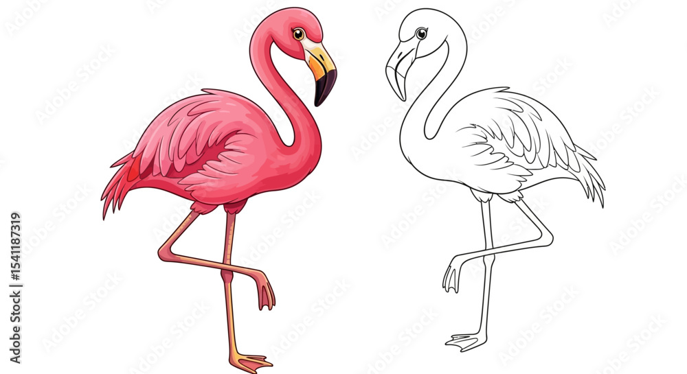 Fototapeta premium Colorful Flamingo Pair for Coloring Book Activity