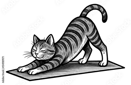 Engraved Illustration of a Striped Cat Stretching on a Mat, Black and White Line Art Style