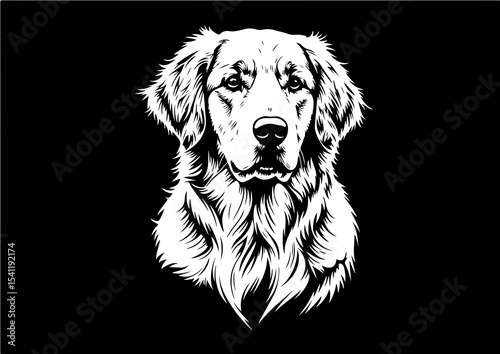 animal, pet, stencil, breed, vector, dog, labrador, illustration, drawing, outline, graphic, white, domestic, black, retriever, art, isolated, puppy, golden retriever, cute, mammal, pedigree