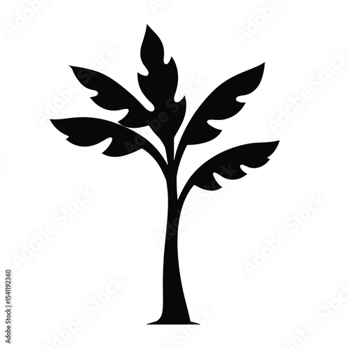 Black Silhouette Banana Tree Vector with Long Leaves and Short Trunk in Tropical Farm Style on White Background Full HD