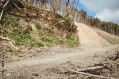 Dirt road in national park