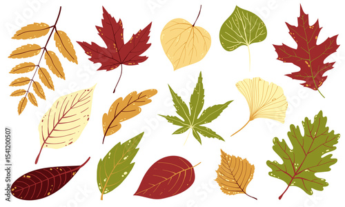 Autumn Leaves Collection. Hand-Drawn Fall Leaves. Flat Style Autumn Leaves Vector Illustrations