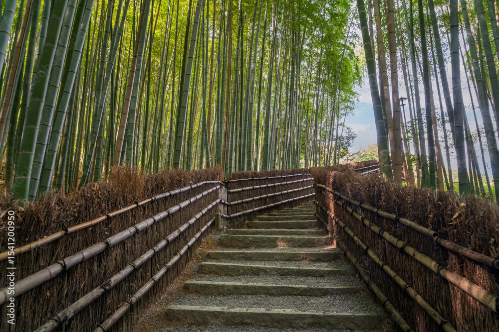 Fototapeta premium Bamboo forest on the territory of the Buddhist temple of Adashino Nenbutsuji, Arashiyama, Kyoto, Japan