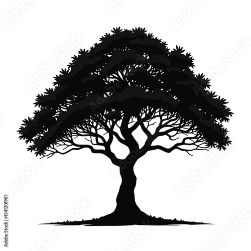 Black Silhouette Elm Tree Vector with Spreading Canopy and Thick Trunk in Flat Natural Forest Style on White Background Full HD