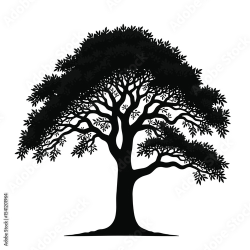Black Silhouette Elm Tree Vector with Spreading Canopy and Thick Trunk in Flat Natural Forest Style on White Background Full HD
