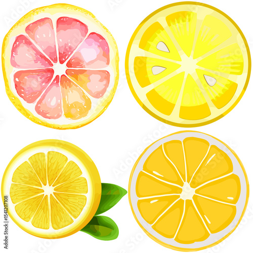 Citrus Slices: Grapefruit, Lemon, and Orange Cross-Sections with Leaves