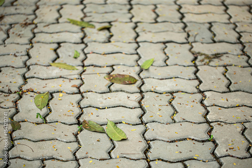Close up shot of paving stone concrete block, in vintage grey and brown color, also with fallen leaves on their surface