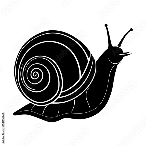 Illustration of a snail with a patterned shell in black and white art