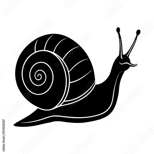 Illustration of a black snail with a spiral shell on a white background