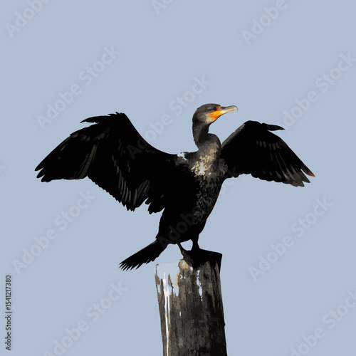 vulture in flight