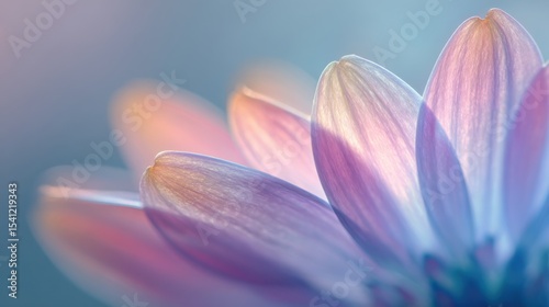 lucent textures design. Delicate flower petals with soft pastel colors and gentle lighting.