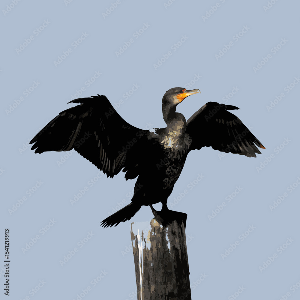 Obraz premium vulture in flight