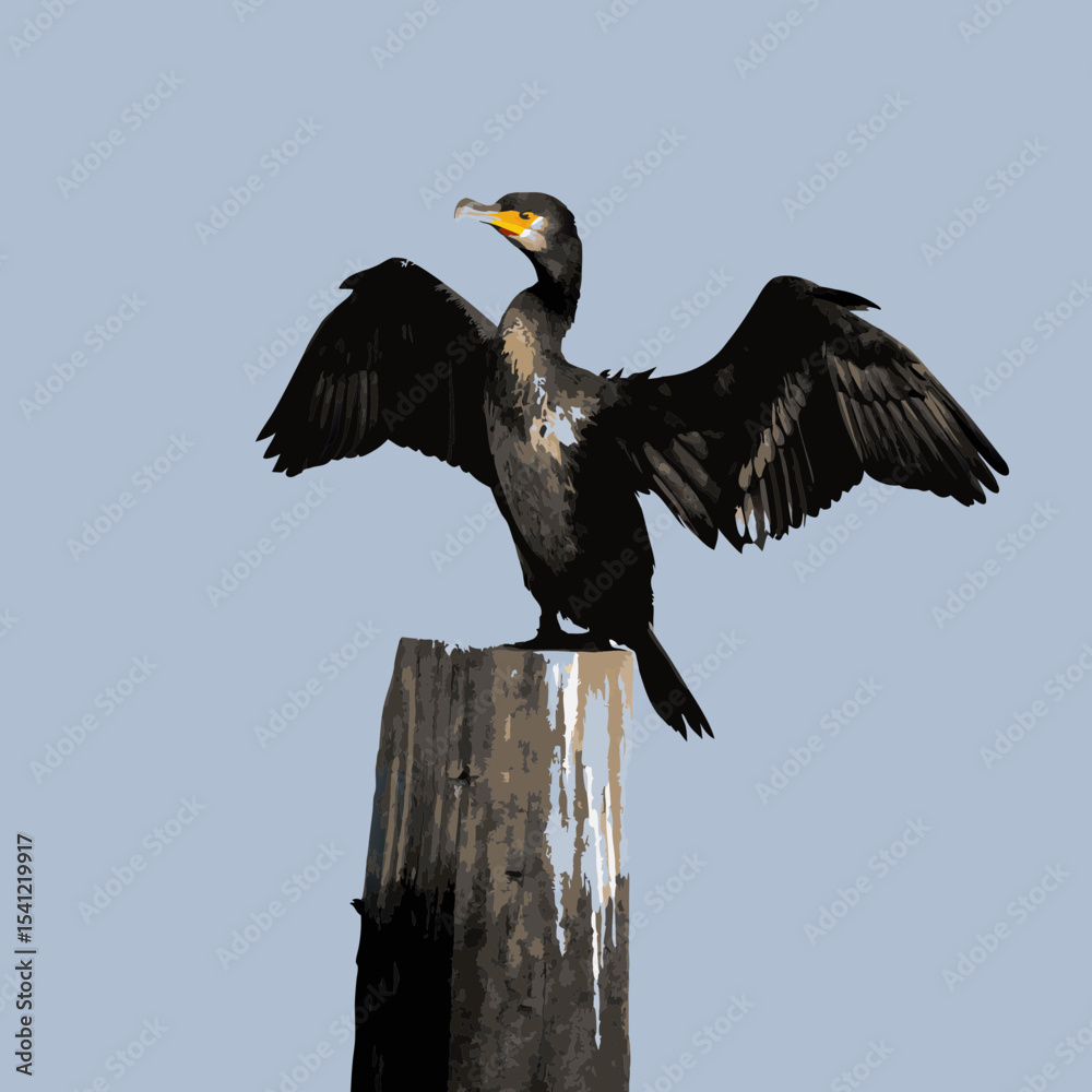 Obraz premium eagle in flight