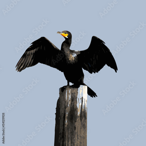 vulture in flight
