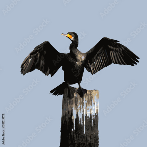 eagle in flight