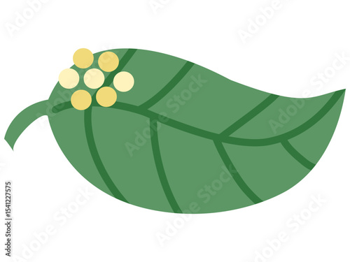 Flat illustration of caterpillar eggs on a leaf