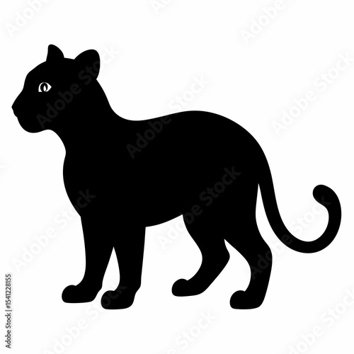 baby Leopard on white background 