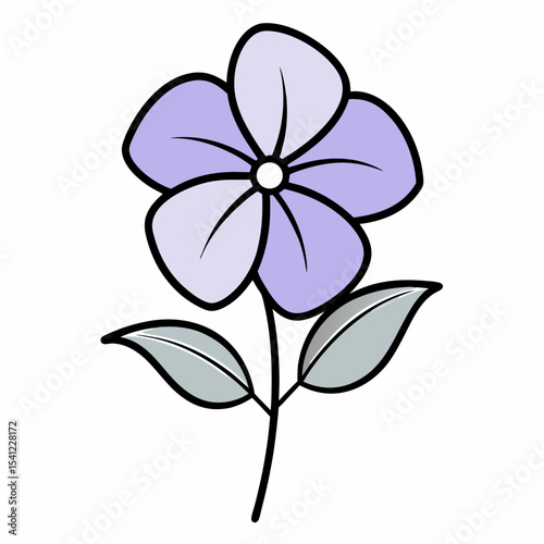 Periwinkle flower on white background 