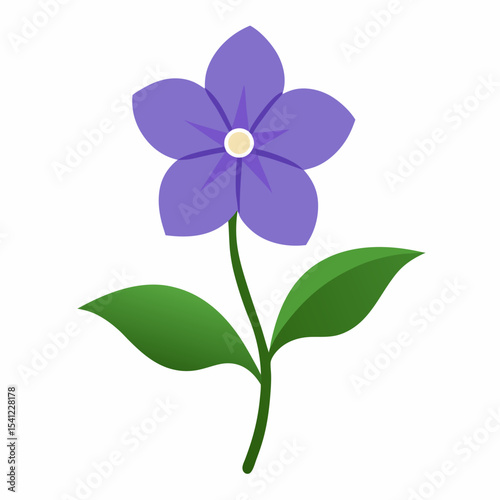 Periwinkle flower on white background 