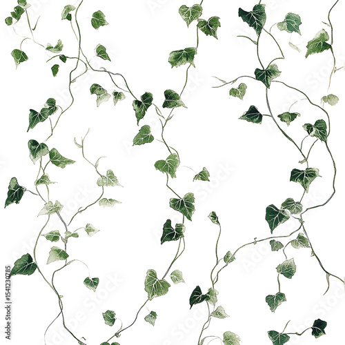 Ivy leaves background seamless pattern green foliage plant climbing vines botanical nature wallpaper design texture on transparent background