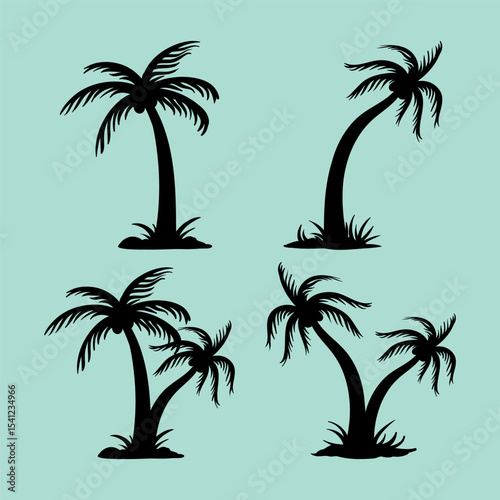 tropical palm trees and palms